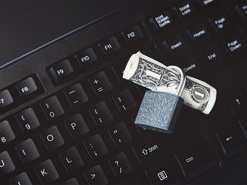 Cuidando da privacidade dos dados durante a jornada digital da sua empresa